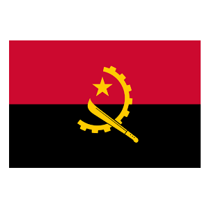 安哥拉选举项目Logo-01