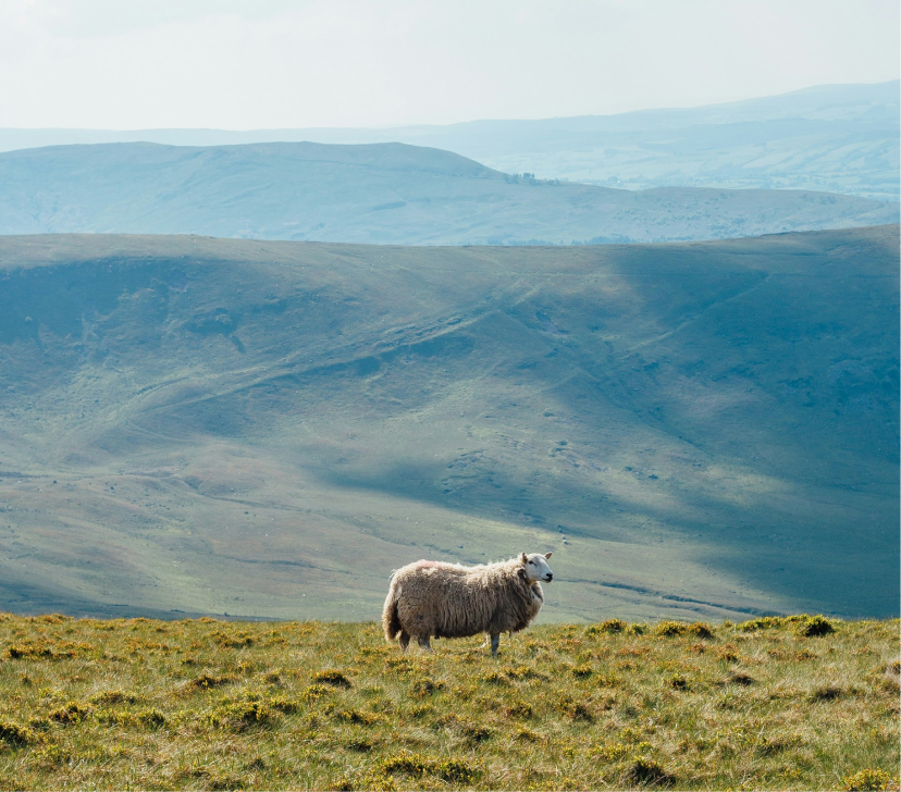 嘉绘美帆布包-01